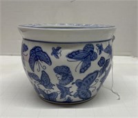 Blue and White Butterflies on Flower Pot