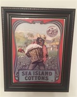 Sea Island Cottons Framed Reproduction Picture