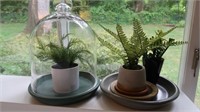 2 Artificial Plants, 1  w/Cloche