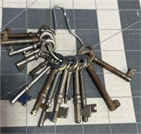 Ring of 15 skeleton keys