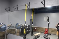 TRX Trainer w/ wall mount