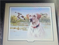 "Yellow Lab and Pintails"