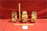 3 Jars Filled With Florida Fighting Conch Shells