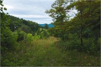 Wooded Hunting Land for Sale in Patrick County VA