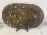 Stone Oval Tray, Fossil Style Shells, Fish
