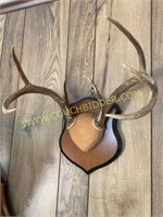 Fabric Covered Antler Mount