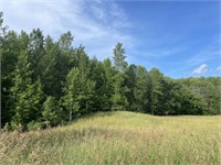 Parcel 1: 59 Acres of Recreational Land!