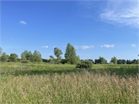 Parcel 2: 20.189 Acres of Woods and Grassland!