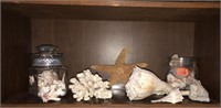 Seashell lot, starfish, conch shells, glass jars