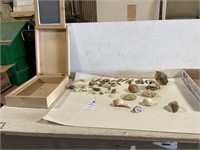 Wooden Box, Assorted Sea Shells/Books