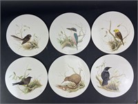 6 Lincoln Wakefield Bird Placemats