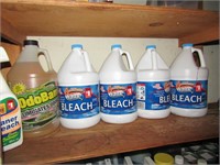 full jugs of bleach & chemicals
