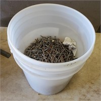 1/2 Pail of 3.5" Spikes