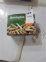 Remington 22 golden bullet