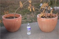 2 large clay flower pots