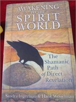 Awakening to the Spirit World Paperback Book