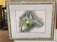 Framed photograph of a white lily with a beetle