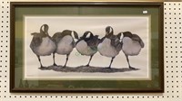 Framed print of five geese - four standing on one