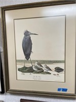 Ray Harm Print-Little Blue Heron