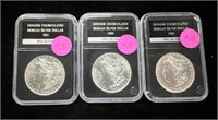 (3) PCS Slabbed Morgan Dollars 1883-84-1902