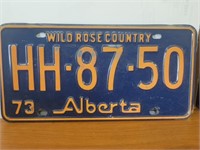 Vintage License plate 1973