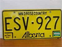 Vintage License plate