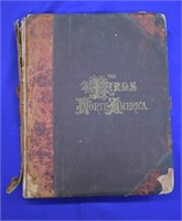 1903 The Birds Of North America by Jacob Studer