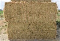2- 3x3 First Cutting 2022 Alfalfa Hay Bales