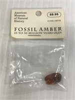 American Museum Fossil Amber sealed