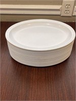 17 Plastic Dinner Plates