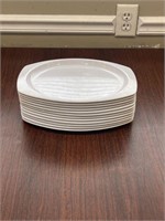 12 Plastic Dinner Plates