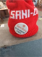 Sani-Dairy winter hat and pin