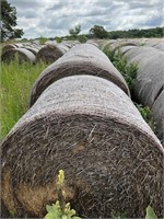 Twenty 4x5 alfalfa bales - last year's cuttings -