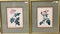 Pair Floral Botanical Prints