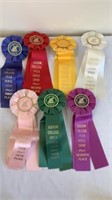 Judson College IHSA Horse Shoe Ribbons