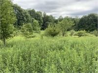 10 Acres Land, Dog Hollow Road, Venango County - Online Only