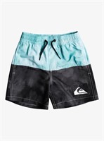 SIZE 5 QUICKSILVER BOY'S SHORTS