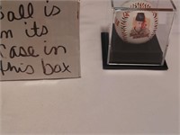 Cal Ripken Jr baseball with display case