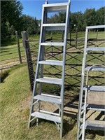 Extendable Ladder