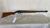 Winchester Model 250 22 S & Long