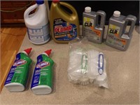 Cleaning Products and Scrubbing Brushes