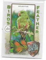 Allen & Ginter Birds Of A Feather BOF-1 Eclectus
