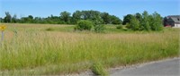 Vacant Land with access from 33 Mile Road