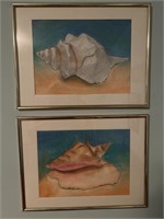 Original Pencil Shell Drawings set of two signed