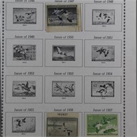 US Hunting an Duck Stamps on pages, cards, in glas