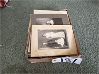 (19) Antique Photographs, Cabinet Cards
