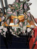 Plant on a wine rack table metal