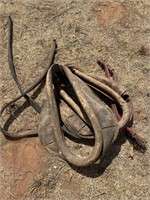 (2) collars & pair of hammes