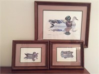 Three Duck Pictures by Richard Sloan