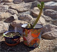 2 Talavera Planters / Plants